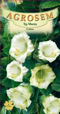 Cobea 2sem