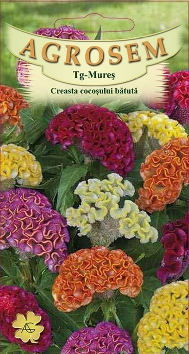 Creasta cocoșului bătută 0,2g