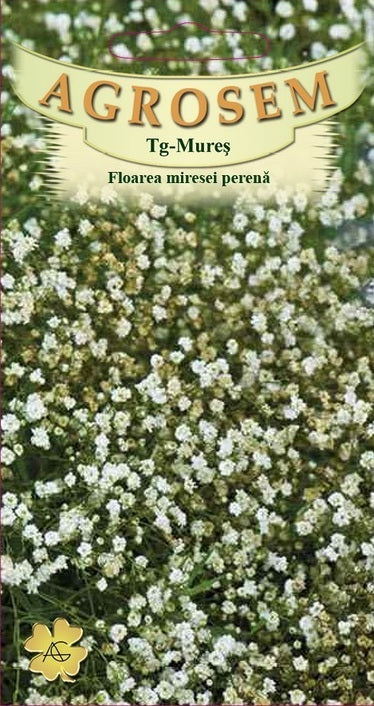 Floarea miresei perenă albă 0,15g