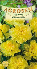 Garoafe Chabaud Galbene 0,1g