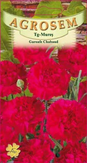 Garoafe Chabaud Rosii