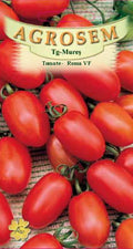 Tomate - Roma VF