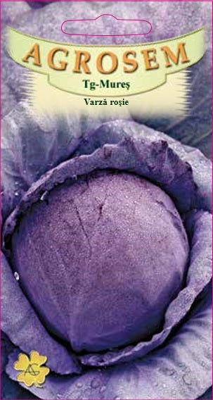 Varză roşie