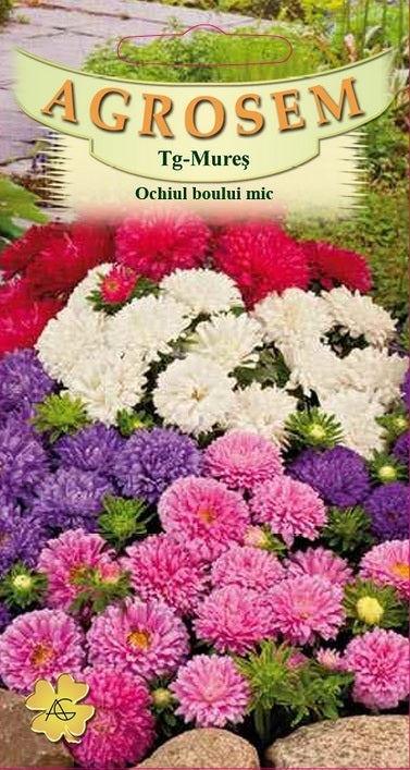 Ochiul boului mic - mix 0,3gr