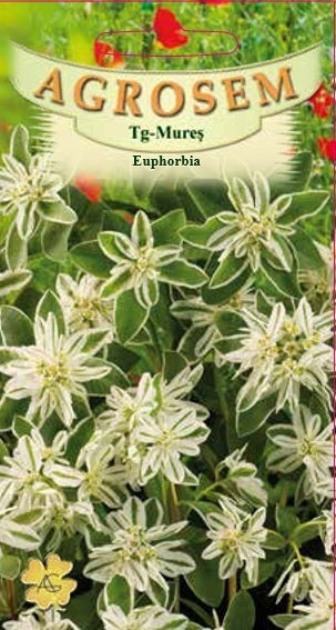 Euphorbia 0,3g