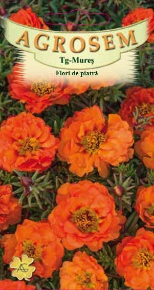 Flori de piatră portocalii 0,1g