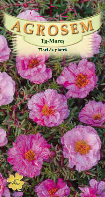 Flori de piatră Rose 0,1g