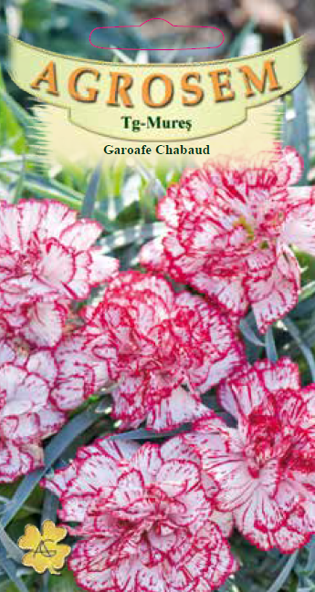 Garoafe Chabaud Bicolore 0,1g