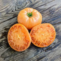 SEMINTE DE TOMATE ORANZHEVO CHUDO (MINUNEA PORTOCALIE)
