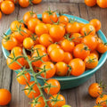 Rosii Cherry Portocalii tomate cherry productive