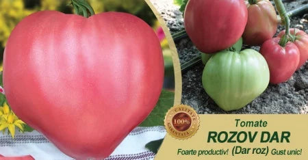 Rozov Dar - Dar Roz 250 seminte