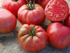 Rozov Gigant tomate roze gigant soi traditional bulgaresc