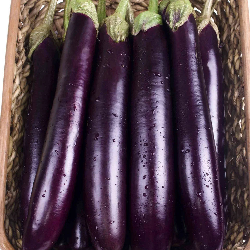 Seminte Vinete LUNGA VIOLETA DI NAPOLI 2g