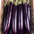Seminte Vinete LUNGA VIOLETA DI NAPOLI 2g